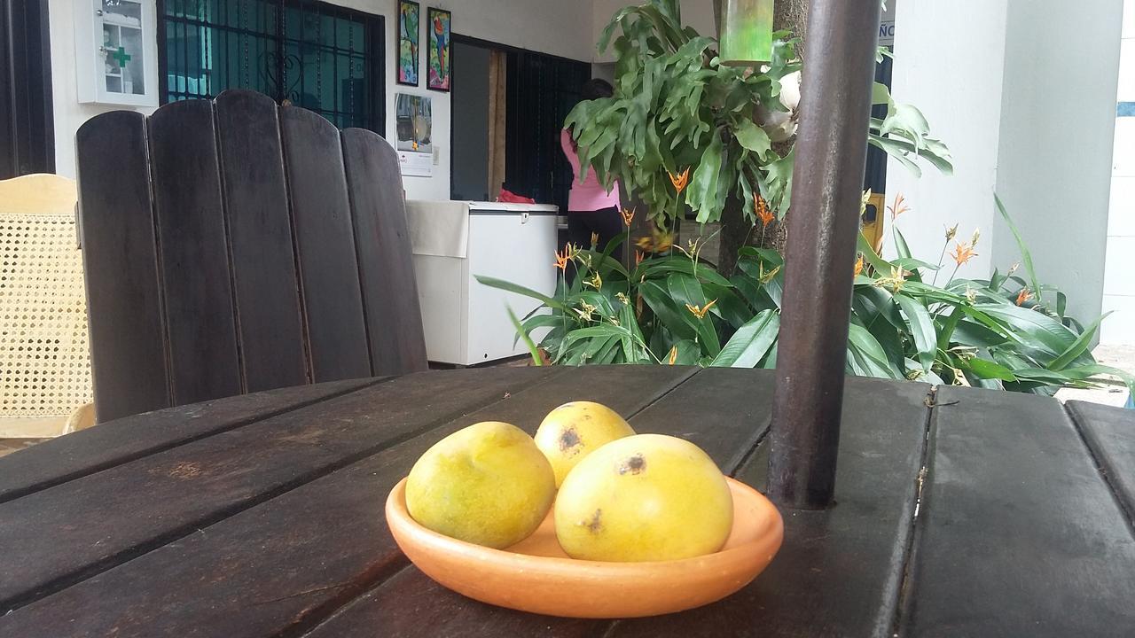 Hotel La Vieja Sara Valledupar Ngoại thất bức ảnh
